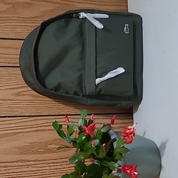 COPY - Lacoste backpack - Picture 2 of 4